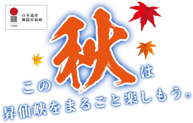 パソコン用の画像