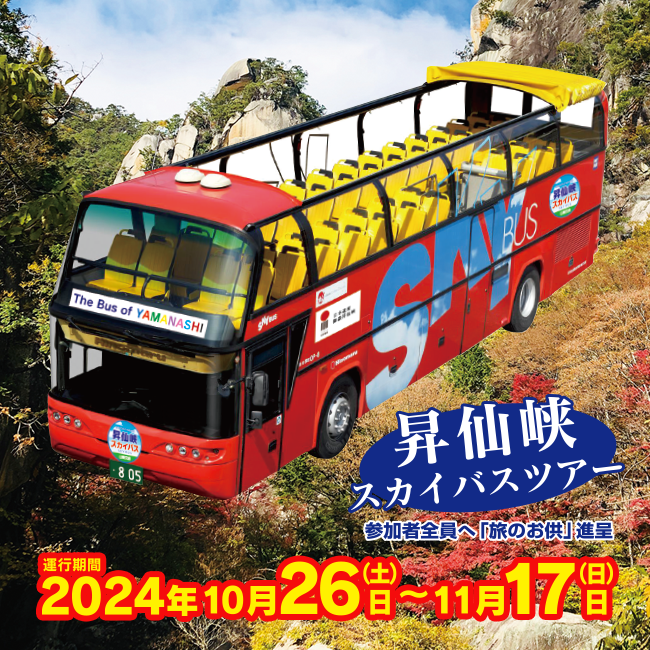 スマホ用の画像